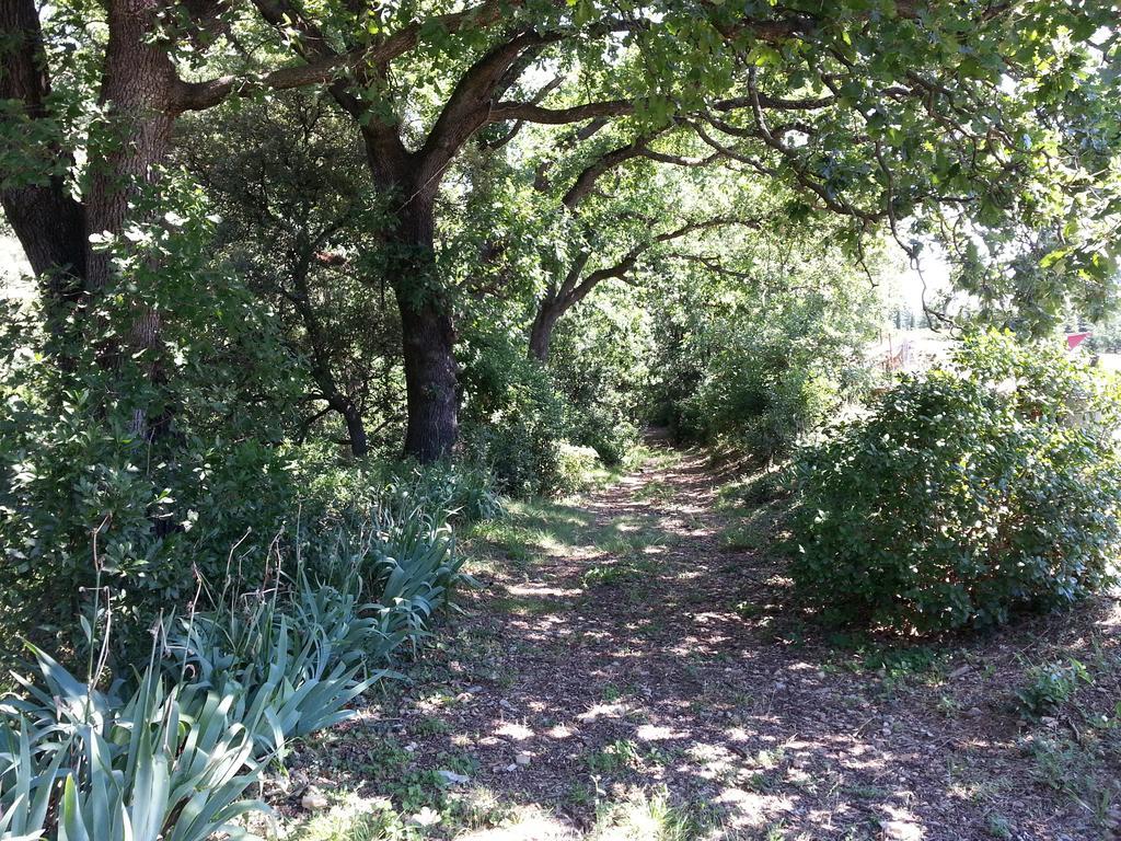 Domaine De Rochebelle Bed and Breakfast La Cadiere-et-Cambo Εξωτερικό φωτογραφία