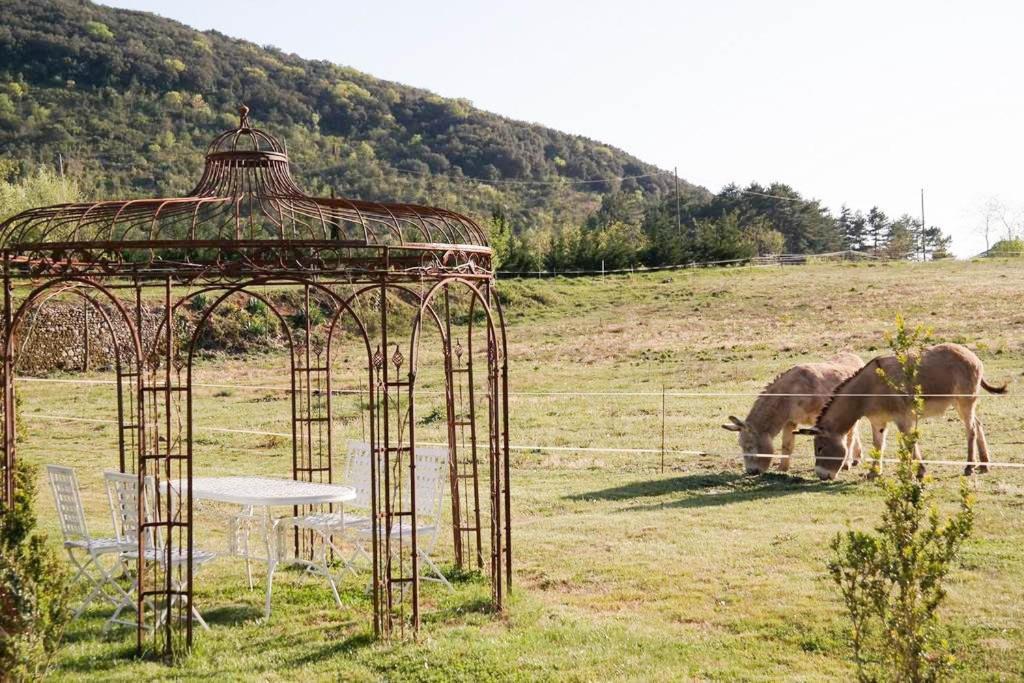Domaine De Rochebelle Bed and Breakfast La Cadiere-et-Cambo Εξωτερικό φωτογραφία