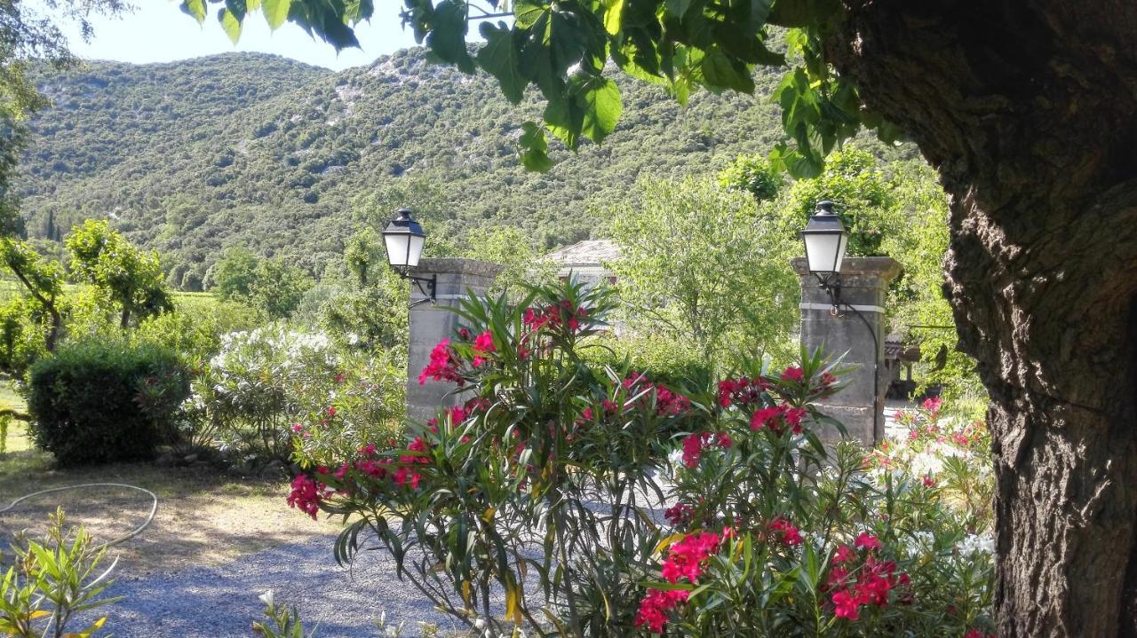 Domaine De Rochebelle Bed and Breakfast La Cadiere-et-Cambo Εξωτερικό φωτογραφία